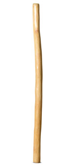 Medium Size Natural Finish Didgeridoo (TW1255)